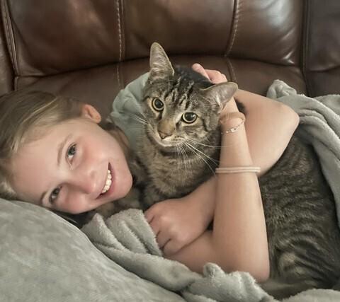 Enlarge Dusty, a Adoptable mixed breed in Youngsville, NC image 4/6