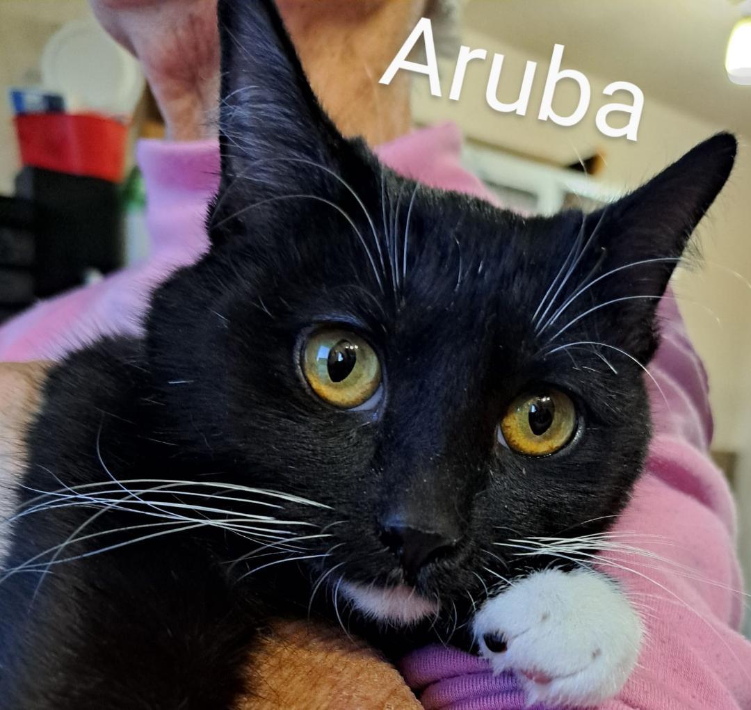 Aruba