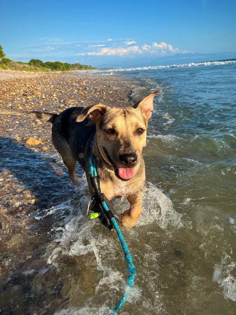 Marla — thumbnail 3