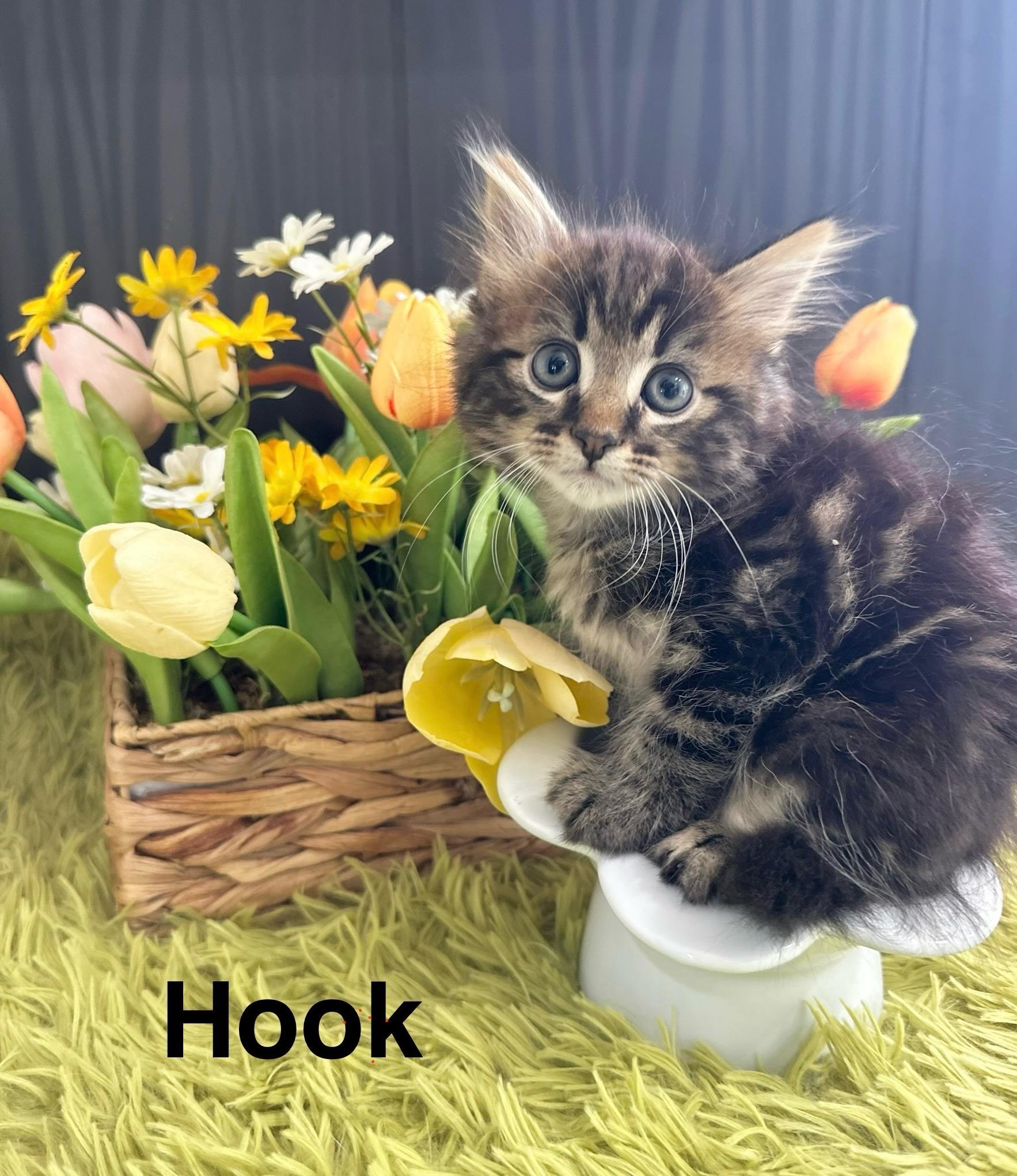 Hook (& Tinkerbell) photo 6