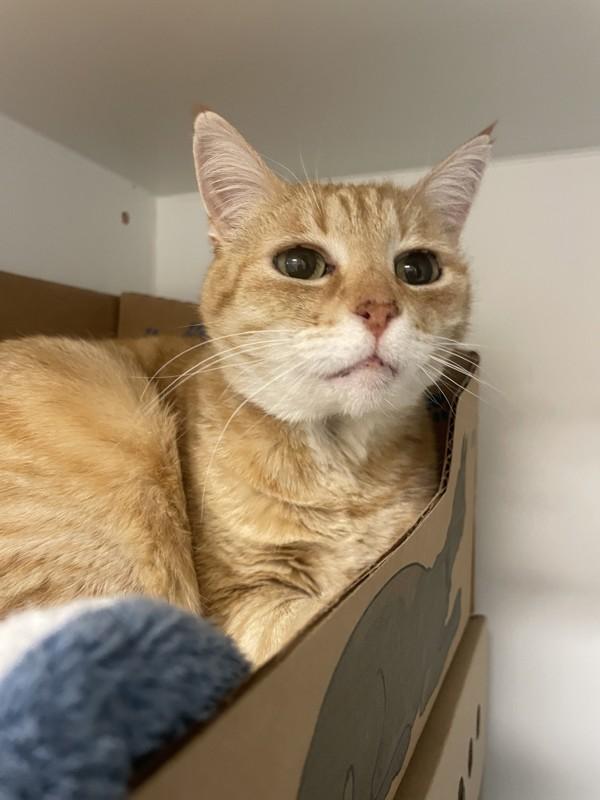 George — thumbnail 2