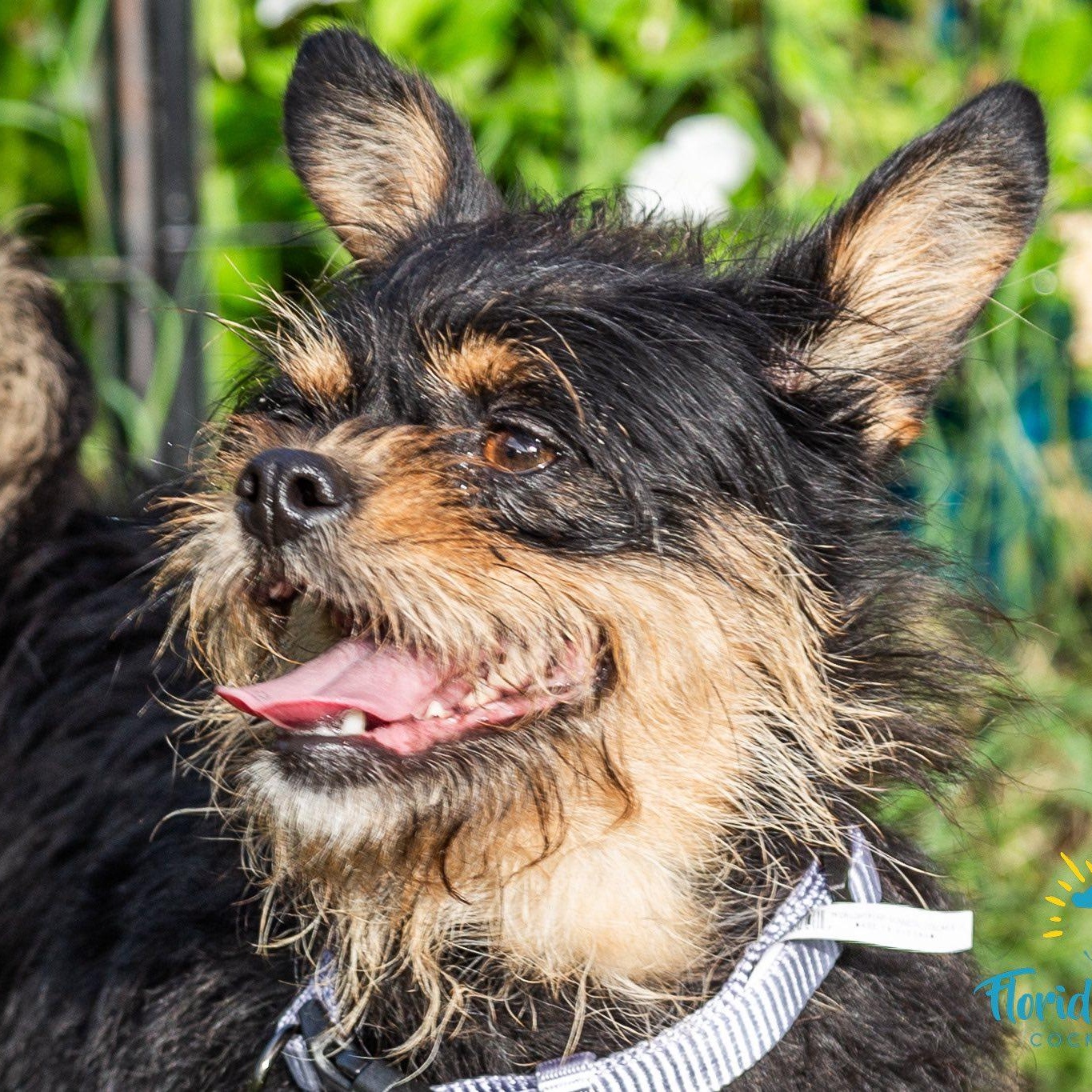 Bonnie — thumbnail 6