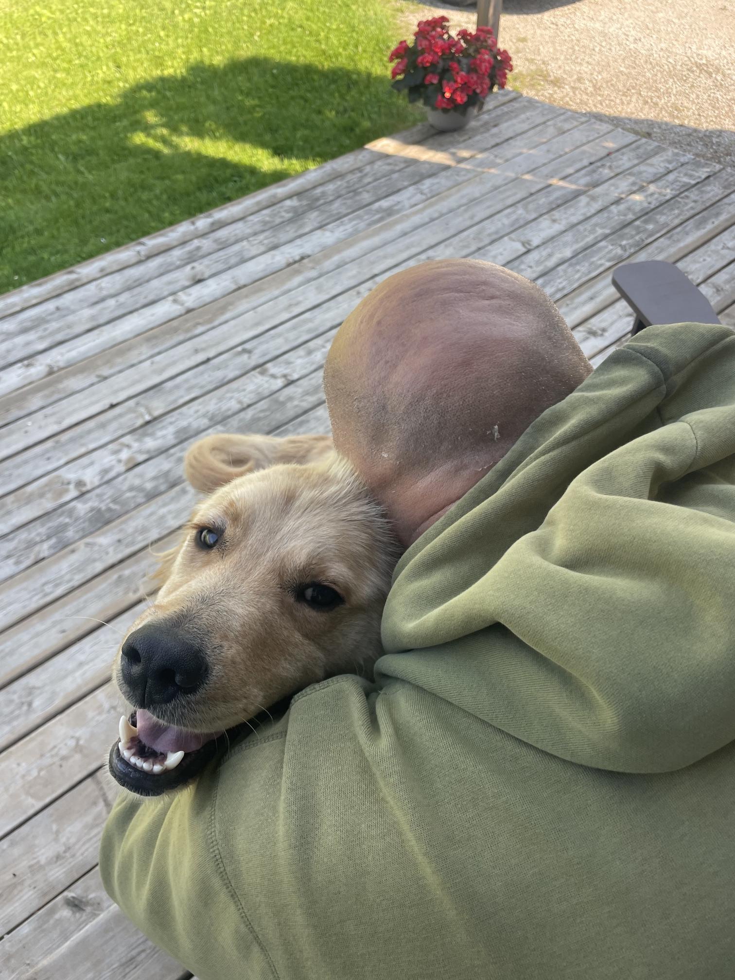 Finnigan, a Adoptable mixed breed in Terra Cotta, ON image 6/6