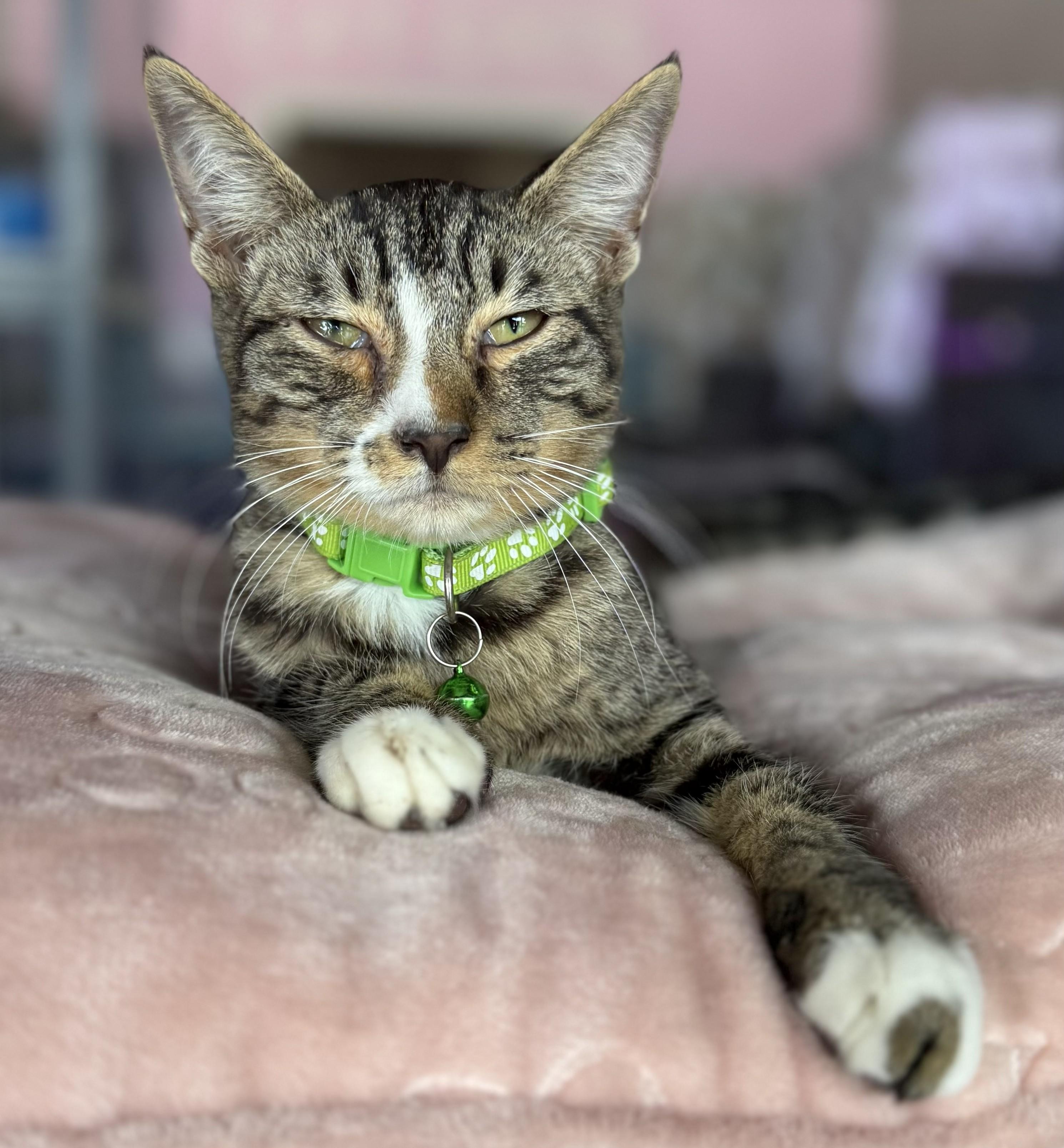 Roux