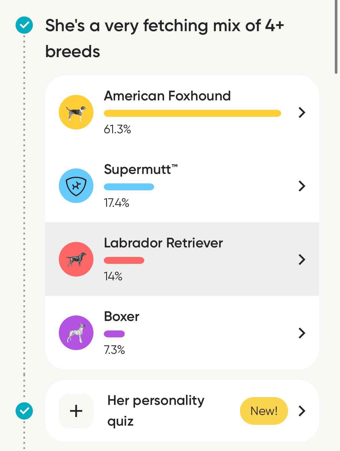 Ozzman in NH! Come Meet our Adoptable Dogs Wednesday-Saturday. More info in Bio!, an adoptable mixed breed in Manchester, NH image 4/4