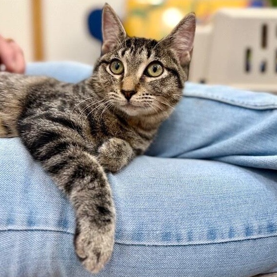 Minnie Moo — thumbnail 2