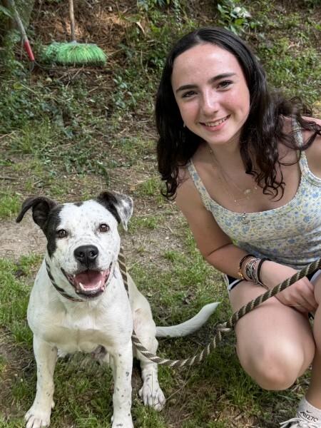 Kain - AVAILABLE TO FOSTER OR ADOPT, an adopted mixed breed in Clayton, NC image 2/5