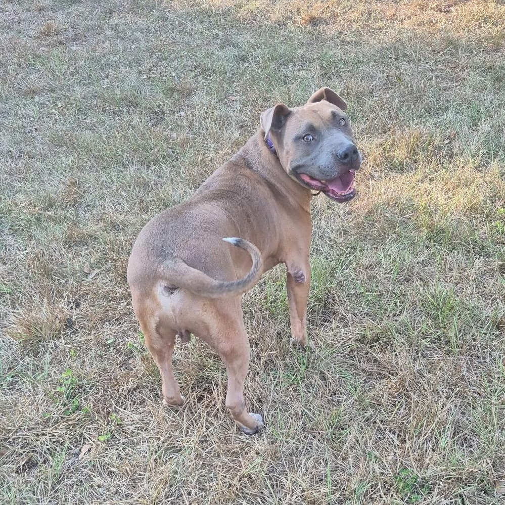 Mac ...........the MACNIFICENT 5