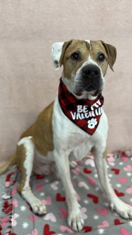 Rupert — thumbnail 2