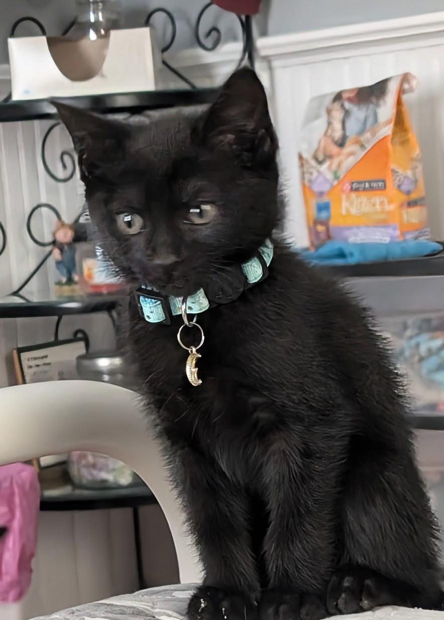 Dexter
