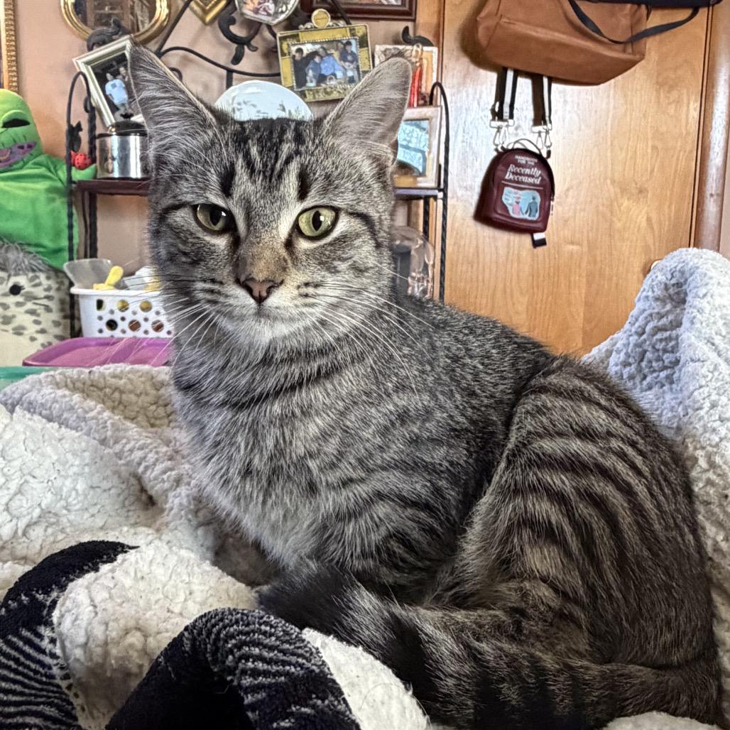 Carter — thumbnail 2