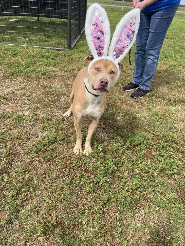 Mazie — thumbnail 2