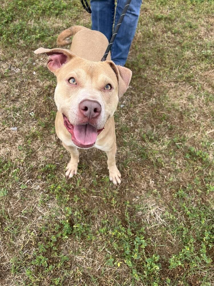 Mazie — thumbnail 5