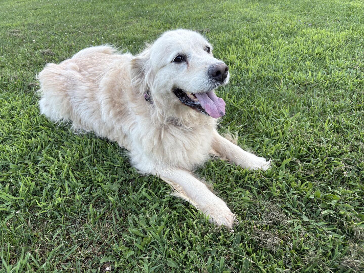 Roxie Mae