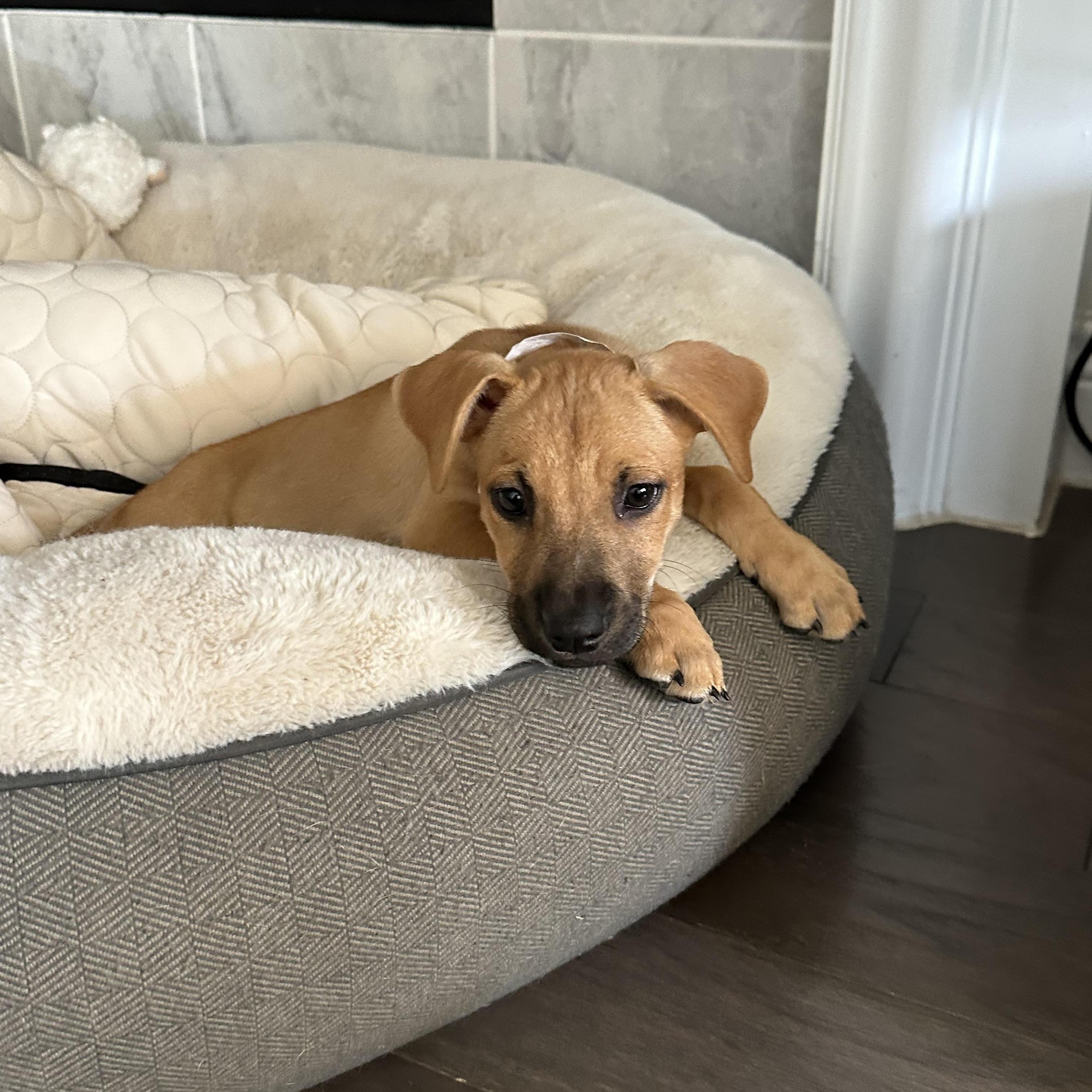 Nora