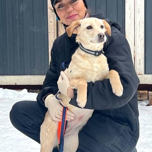 Enlarge Shera, a ADOPTABLE mixed breed in Morristown, NJ image 6/6