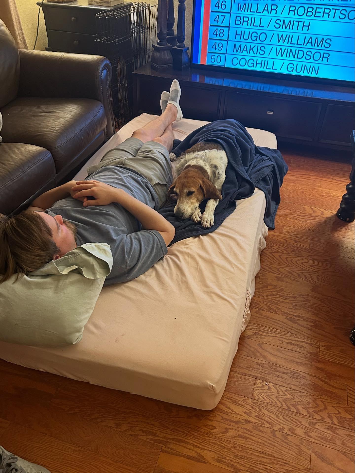 Peggy Sue, a Adoptable Hound in Saint Augustine, FL image 3/3