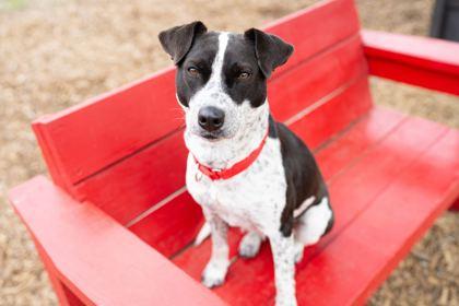 Eggnogg — thumbnail 2