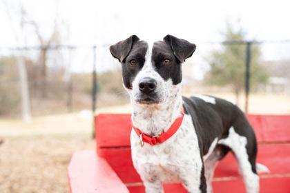 Eggnogg — thumbnail 3