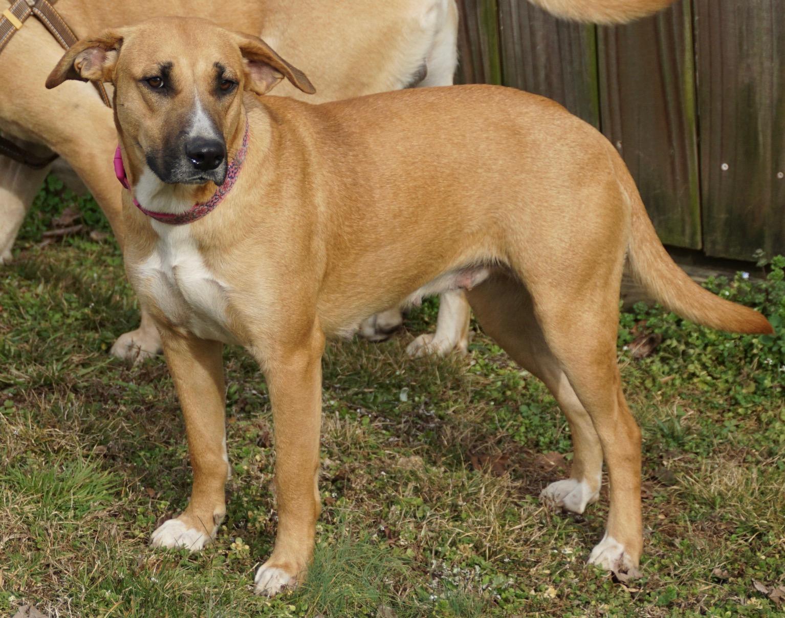 Juletta — thumbnail 2