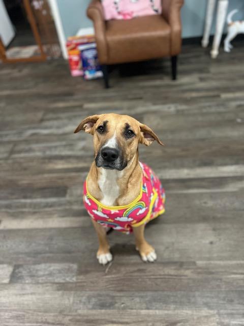 Juletta — thumbnail 3