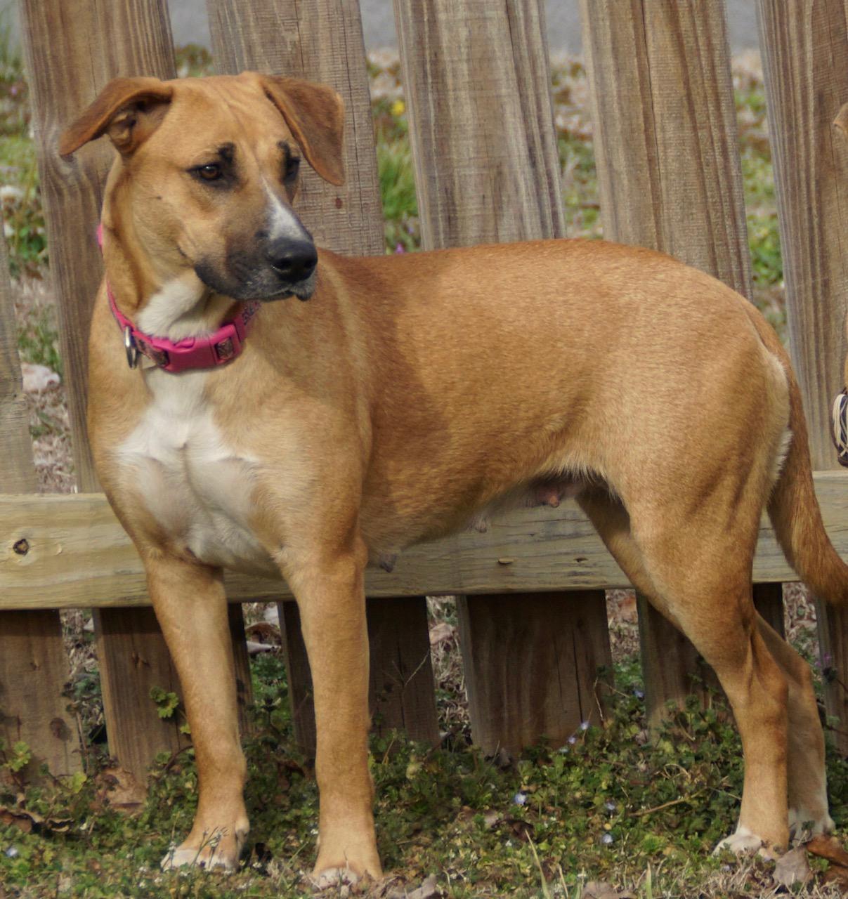 Juletta — thumbnail 4