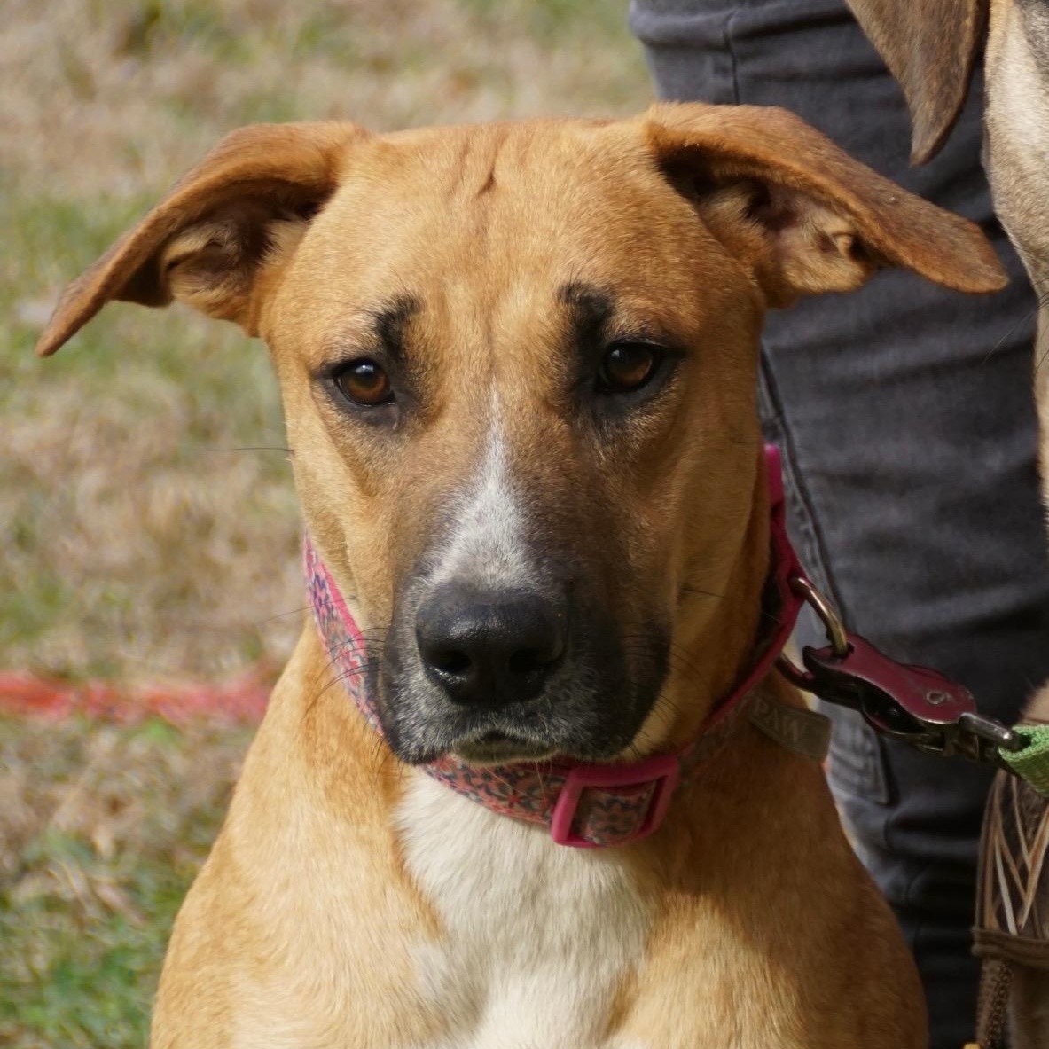 Juletta — thumbnail 5