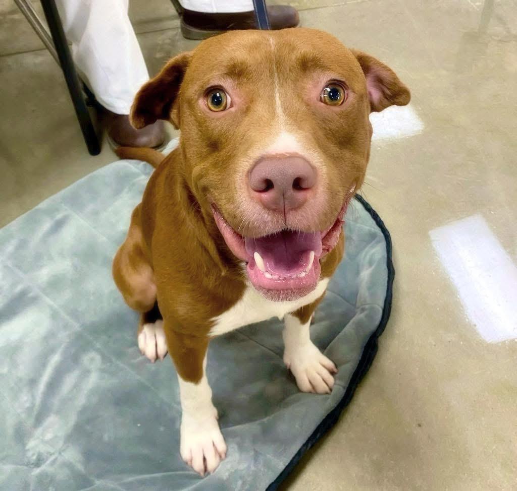 Wrigley — thumbnail 2