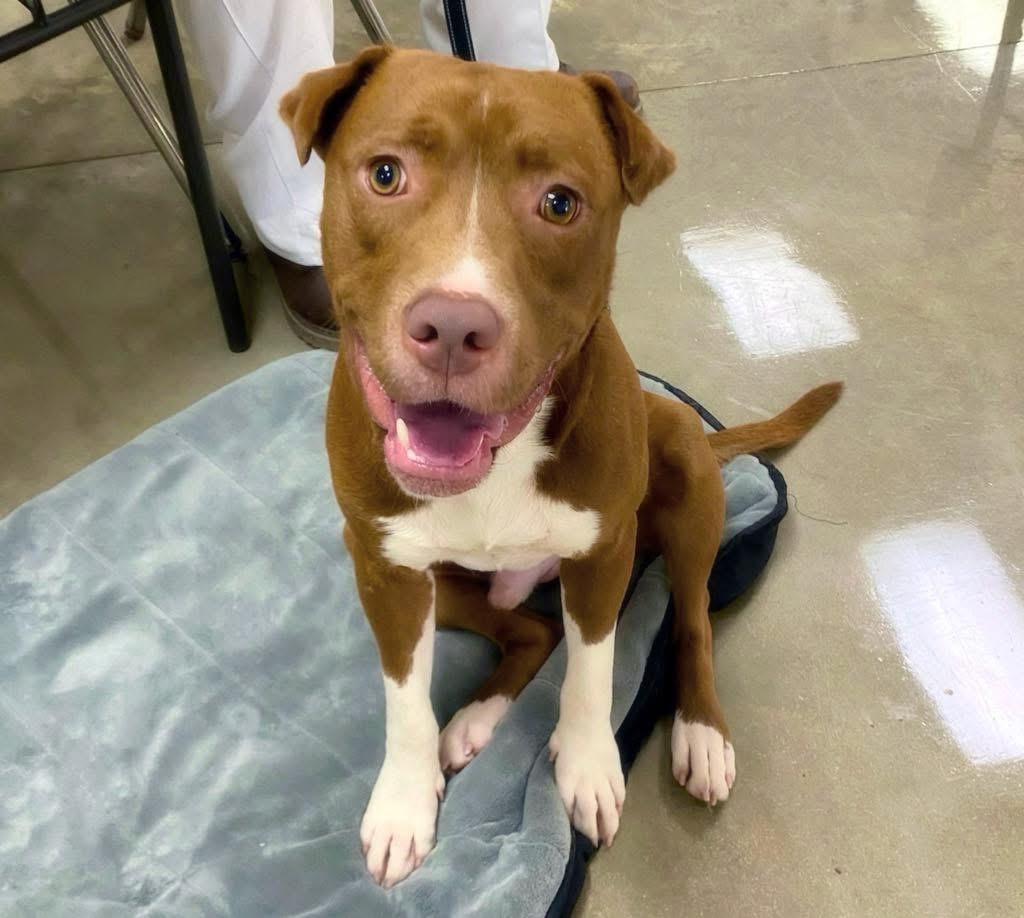 Wrigley — thumbnail 3