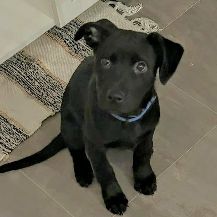 Bear (20260216-06) — thumbnail 2