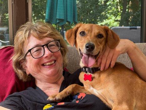 Enlarge Maeve, a Adoptable mixed breed in Bedford Hills, NY image 4/6