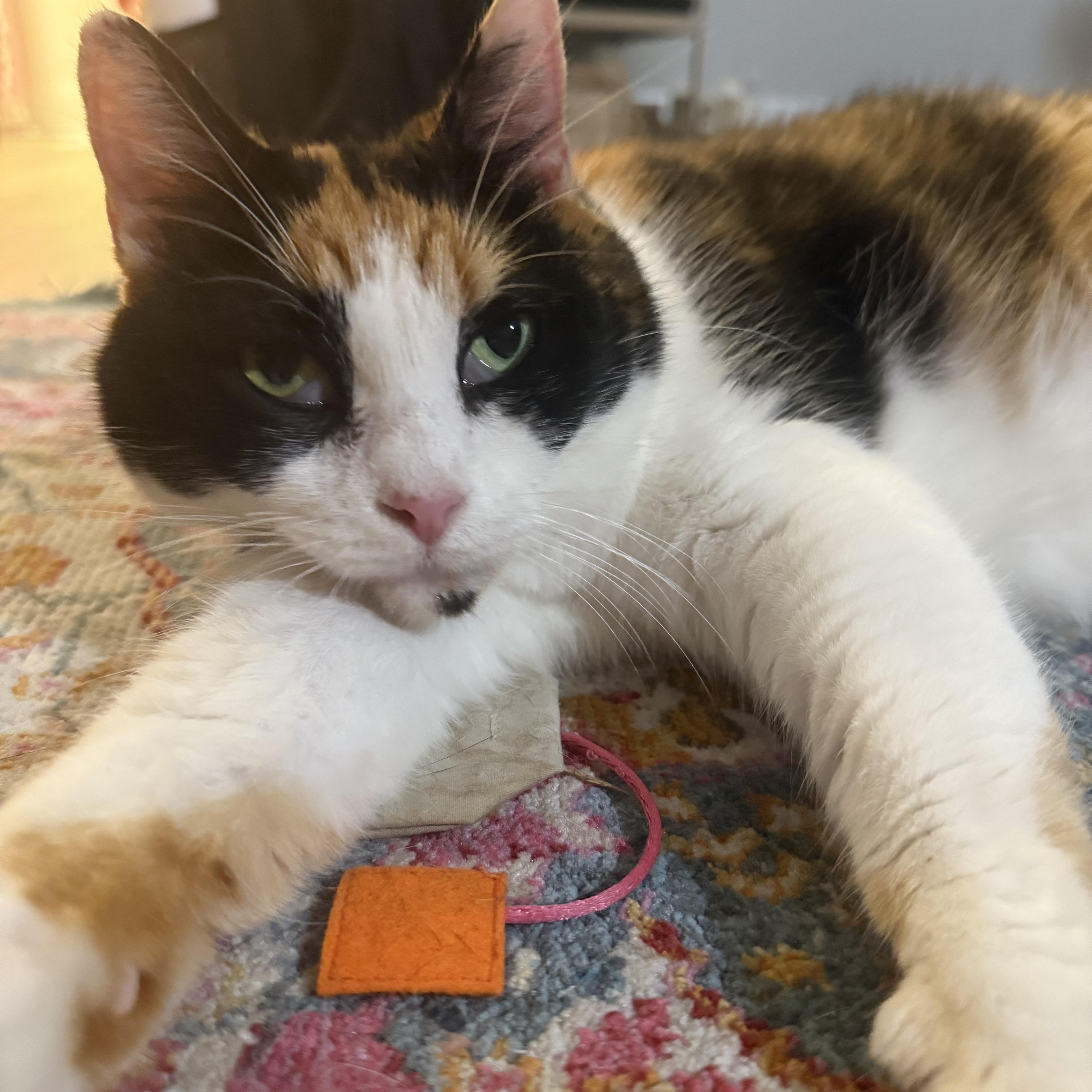 Dolly Parton thumbnail 2