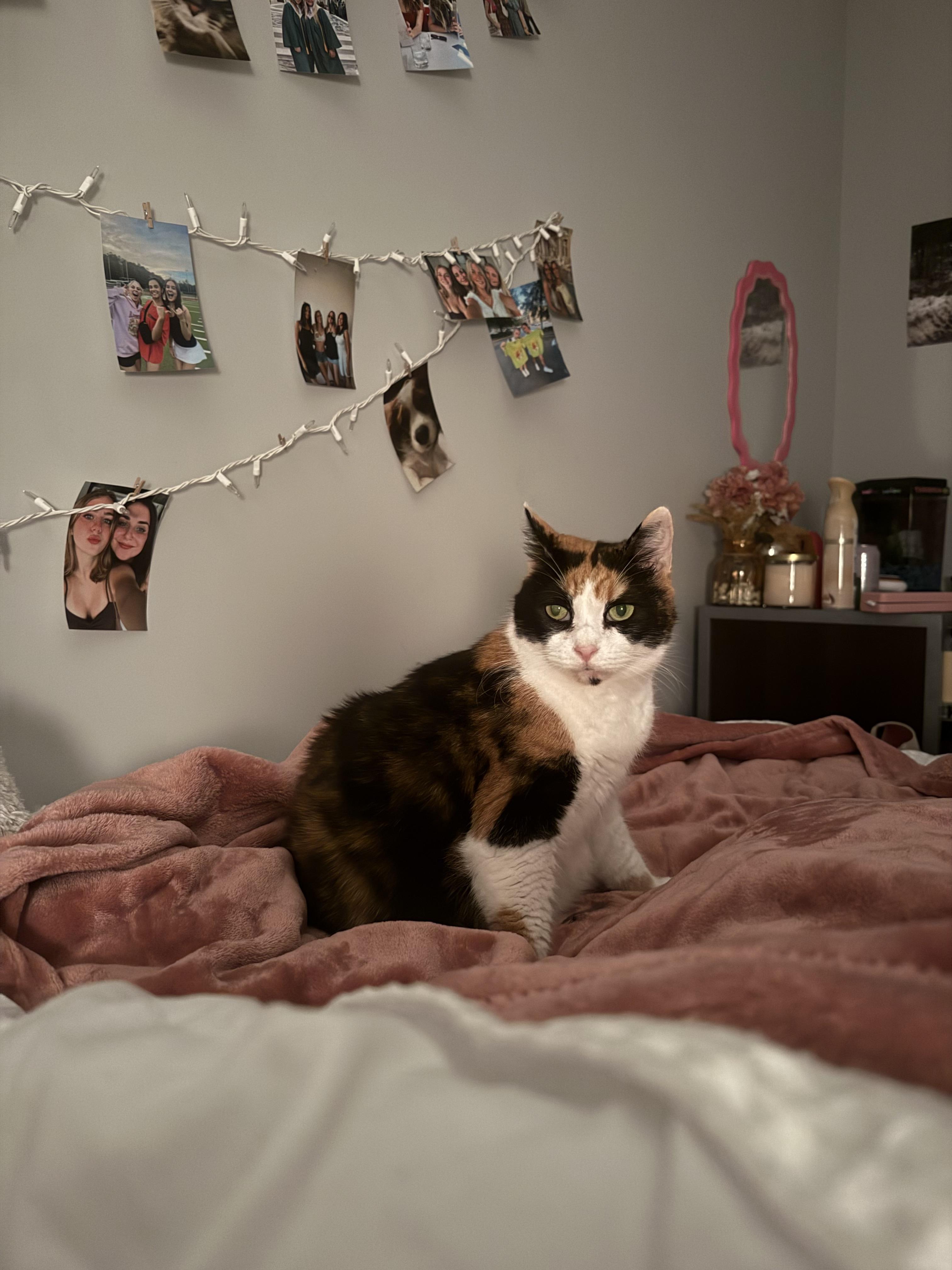 Dolly Parton thumbnail 6