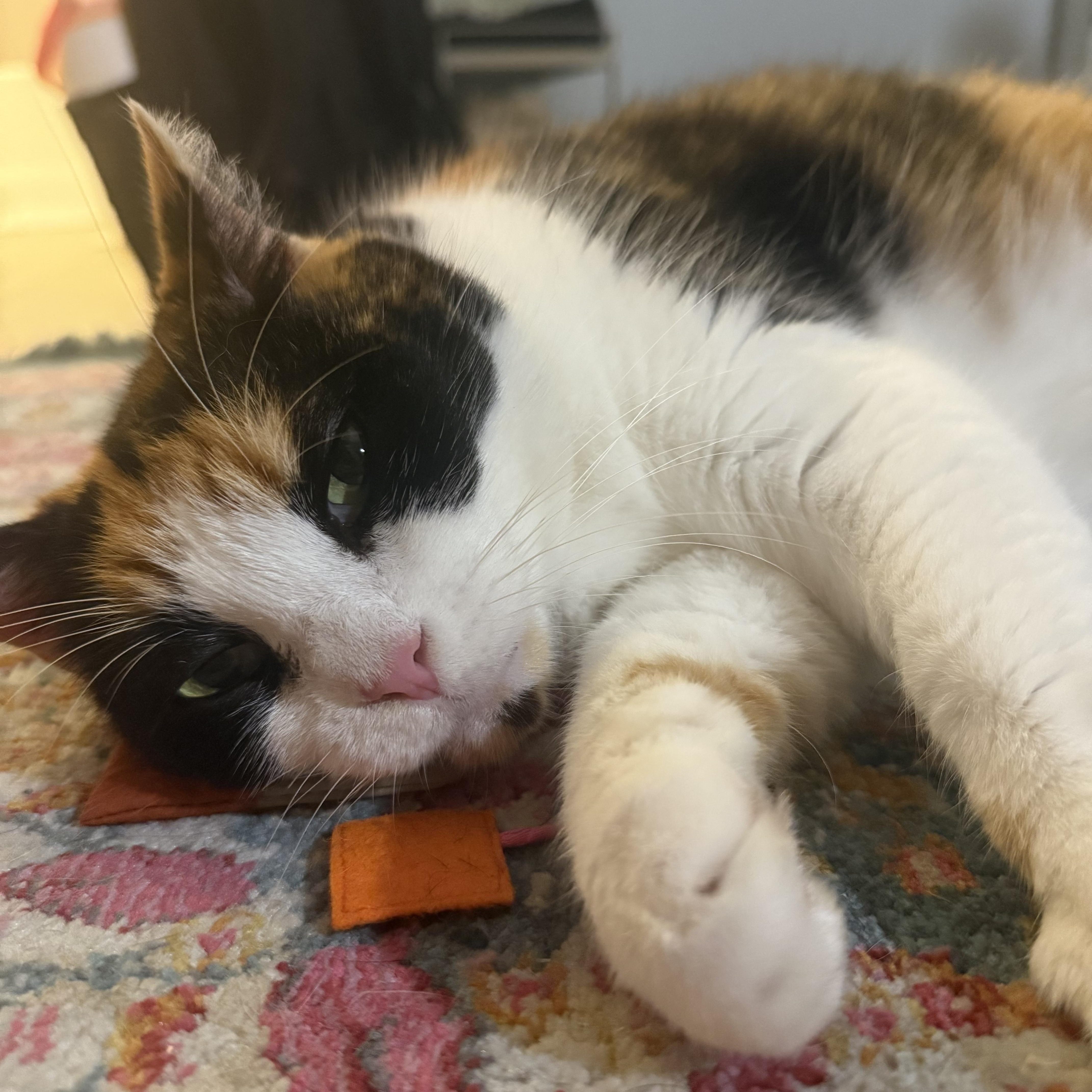 Dolly Parton thumbnail 3