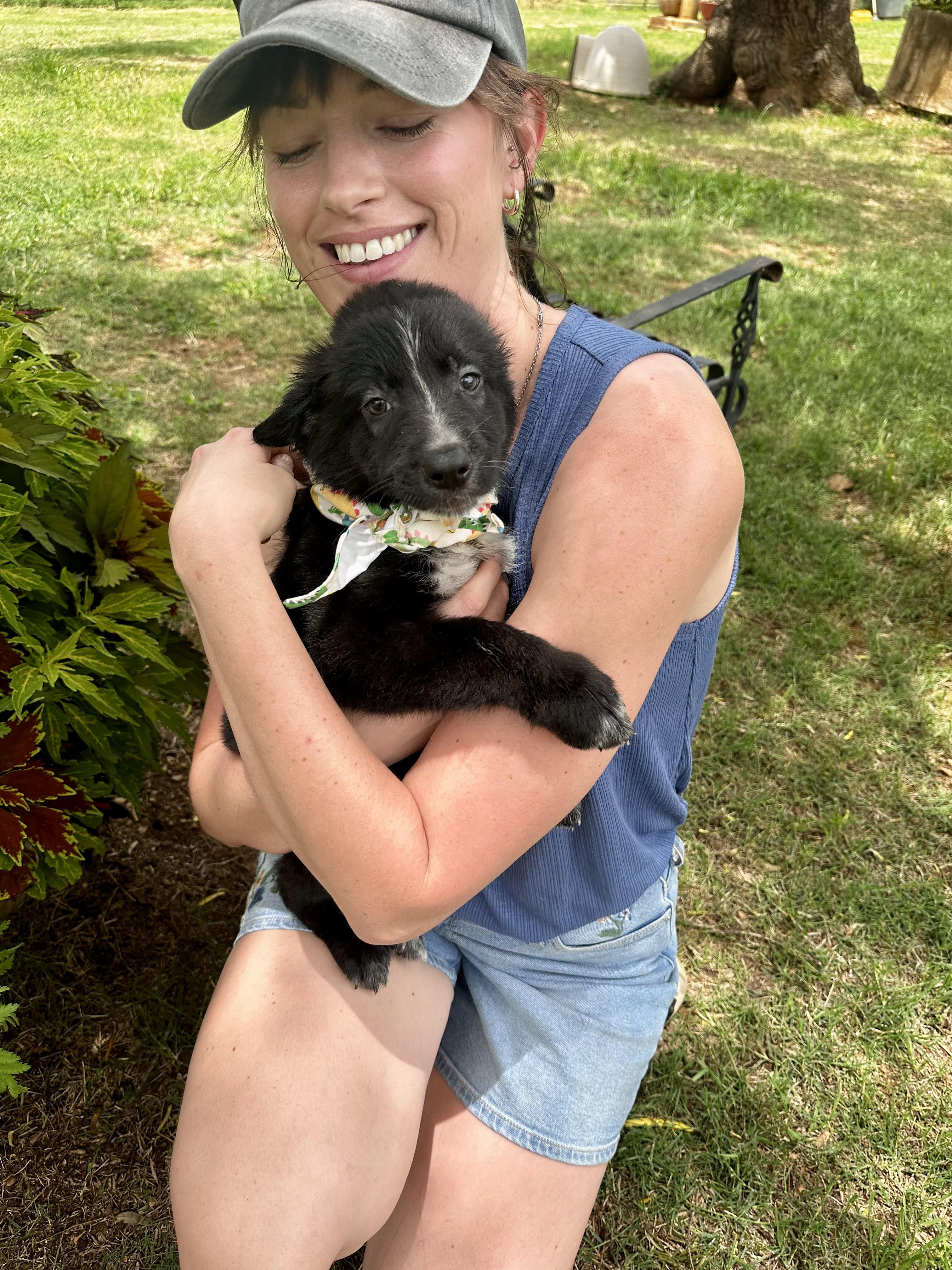 Chewy, an adopted mixed breed in Seguin, TX image 5/5
