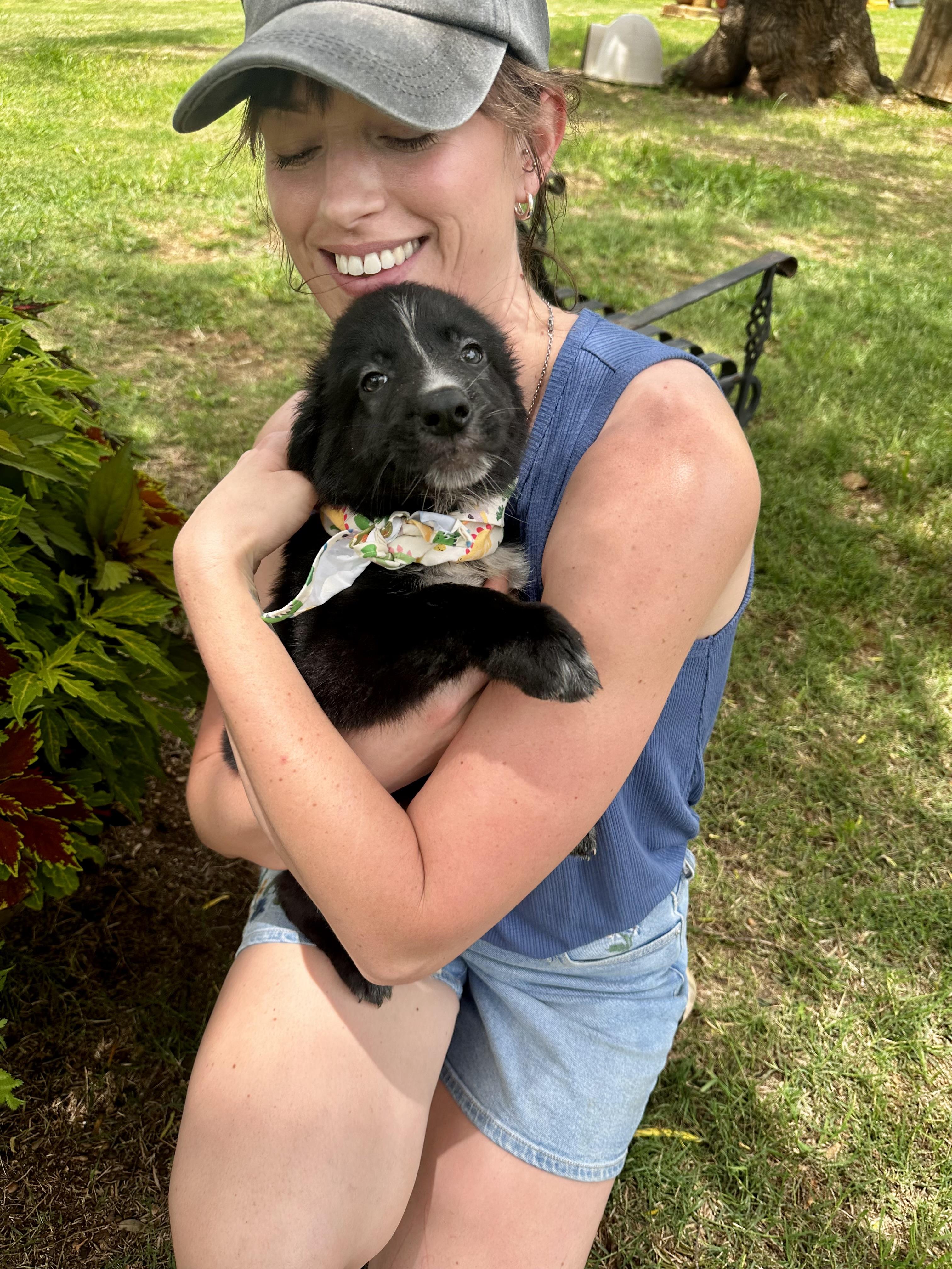 Chewy, an adopted mixed breed in Seguin, TX image 4/5