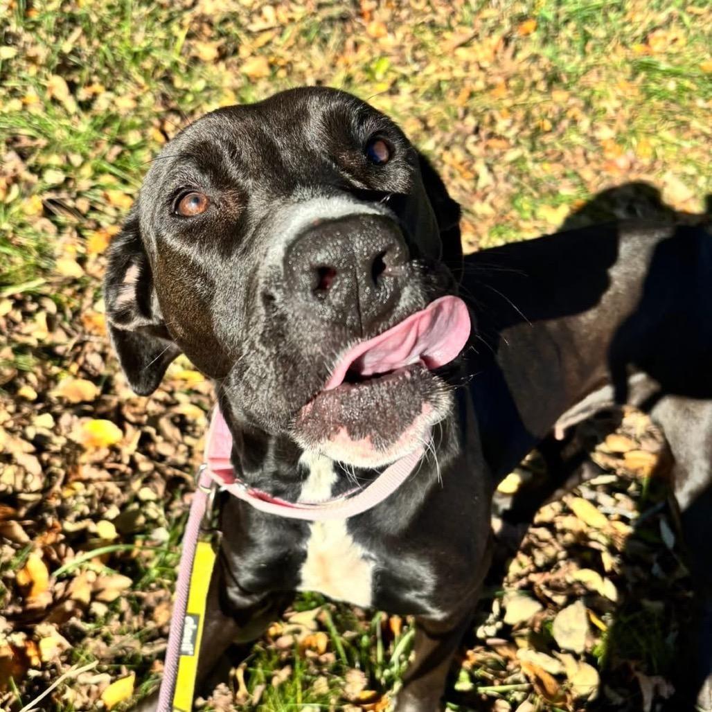 Molly — thumbnail 2