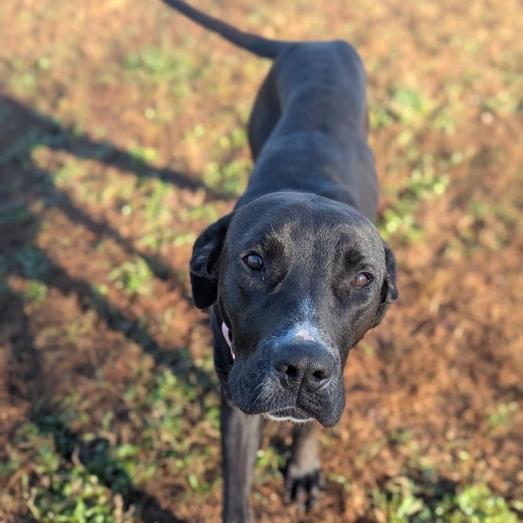 Molly — thumbnail 3