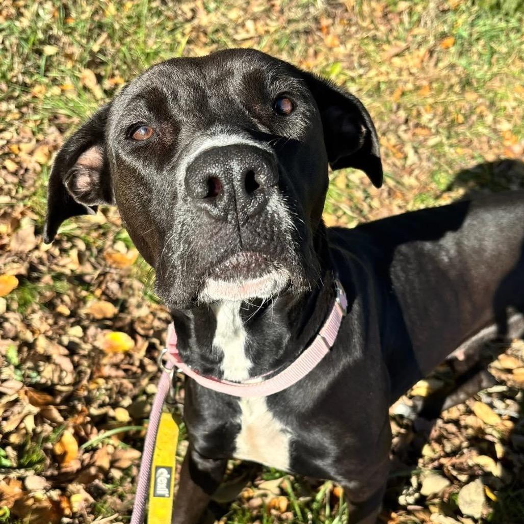 Molly — thumbnail 6