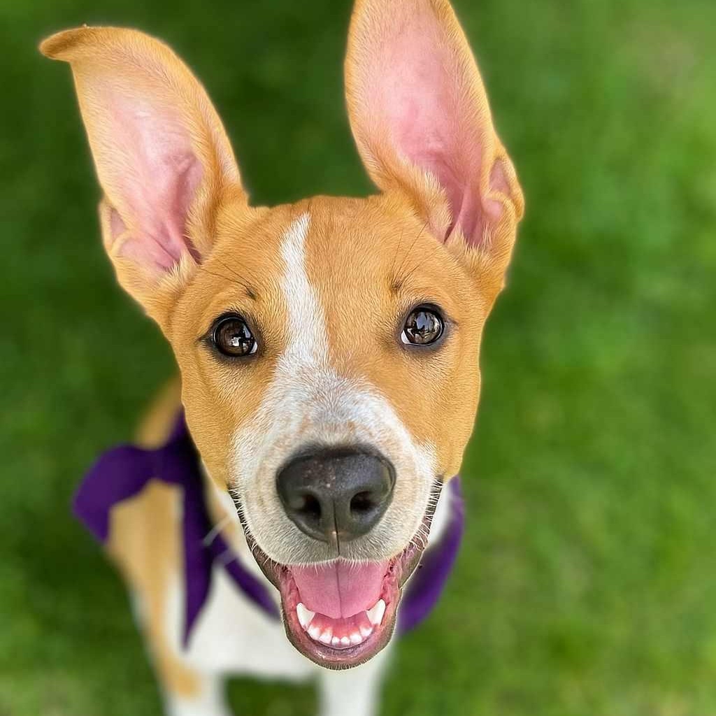 Trevor* **Free DNA Kit!**