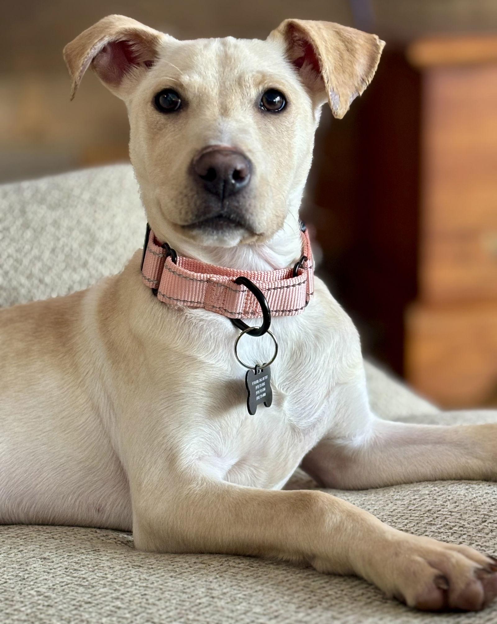 Lottie Hc thumbnail 3