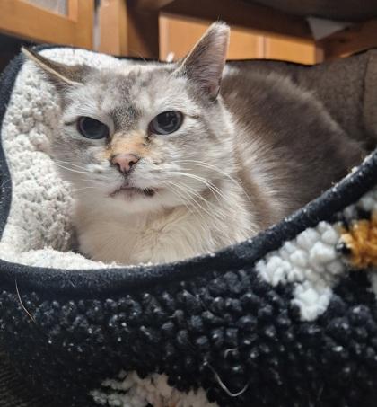 Maxine — thumbnail 2