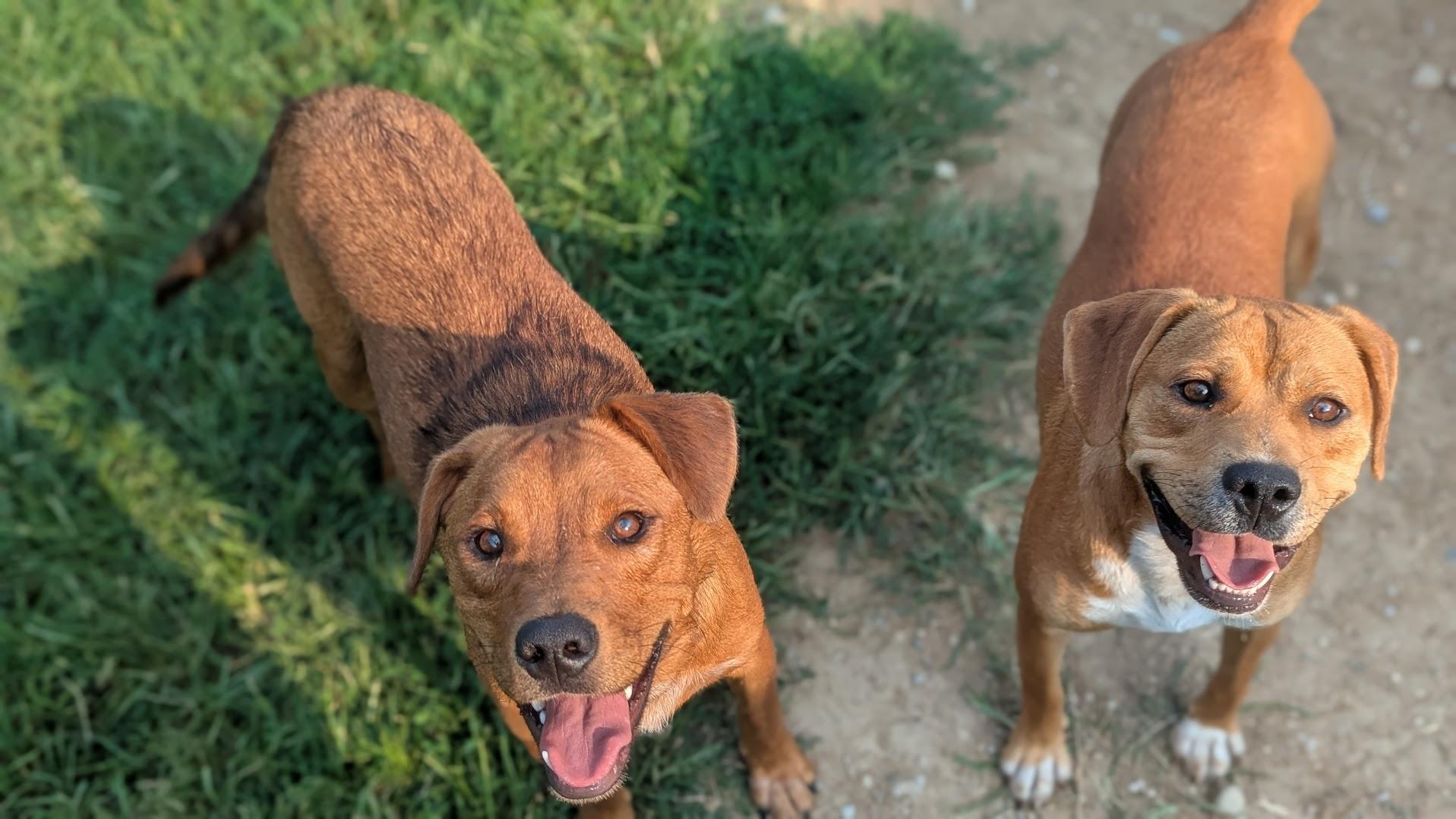 Cash And Rocco