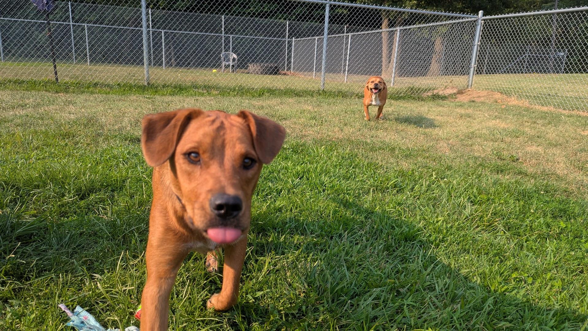 Cash And Rocco thumbnail 3