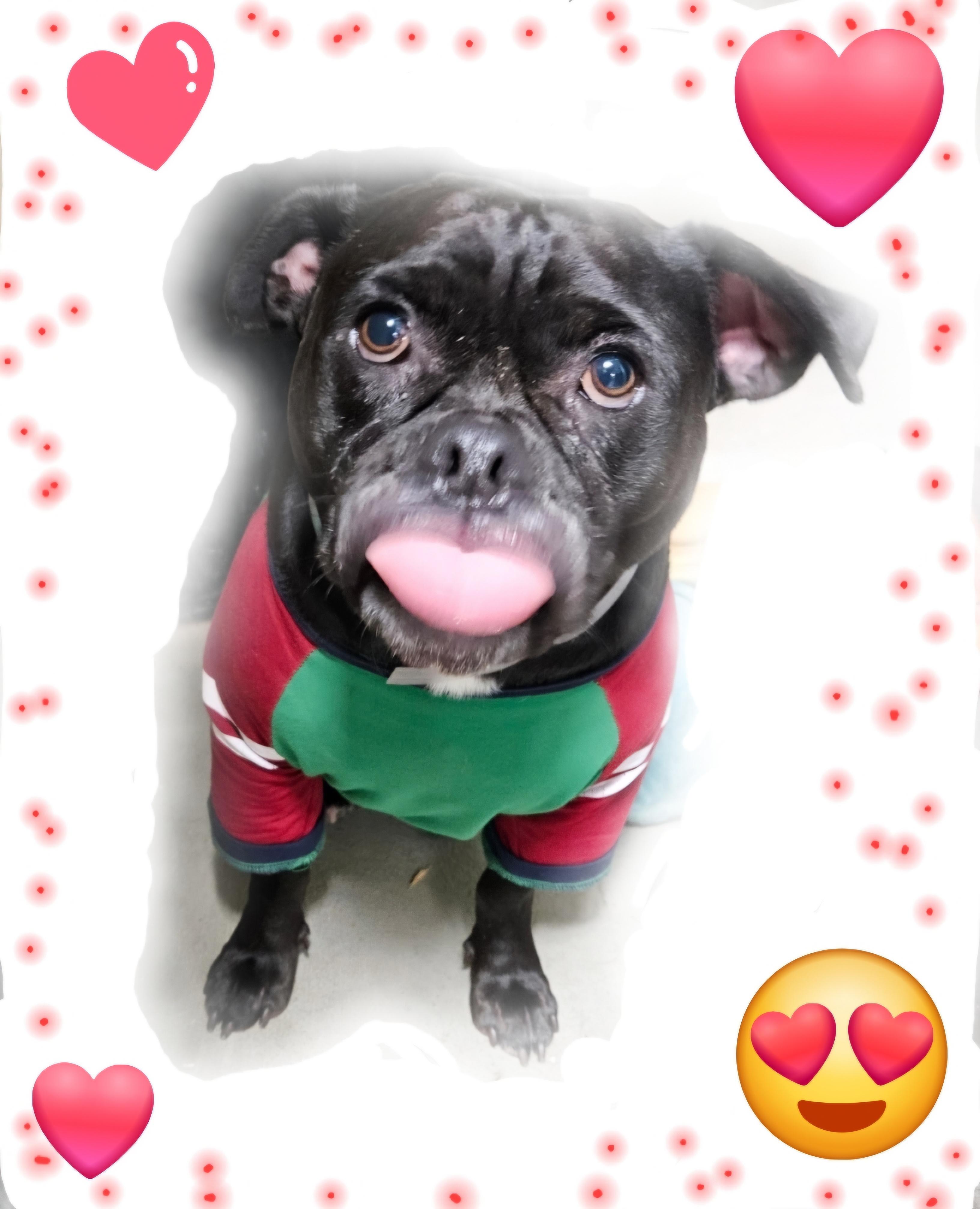 Black Jack Jack!! thumbnail 2