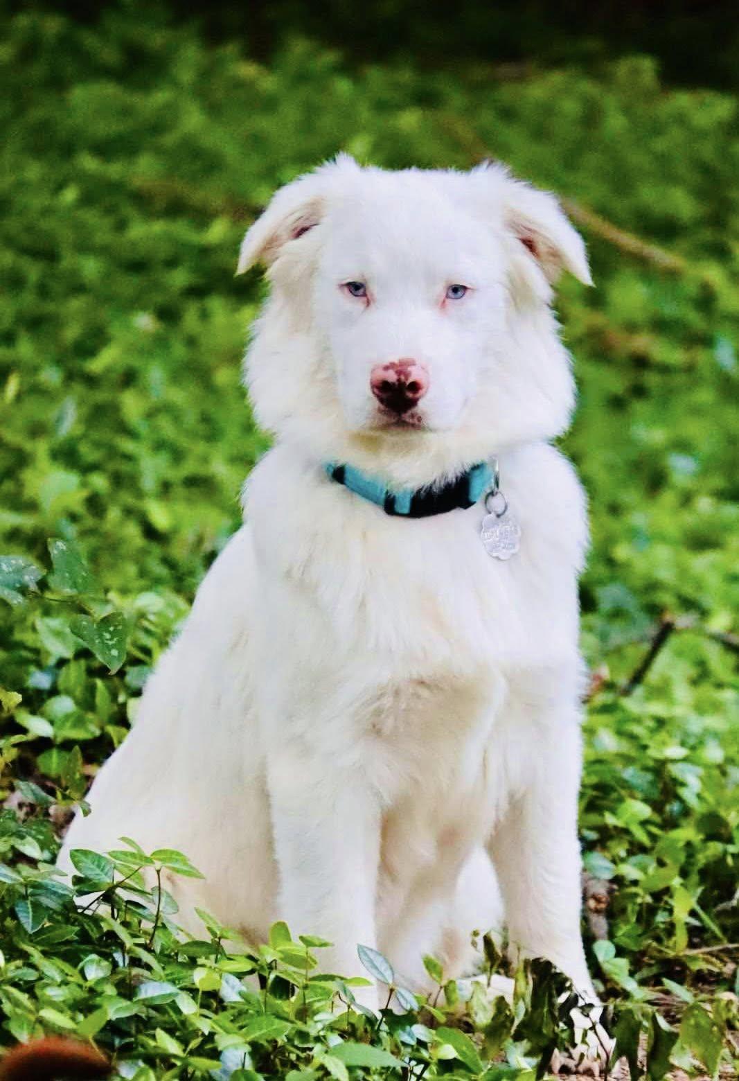 Arph # - Kenny thumbnail 2