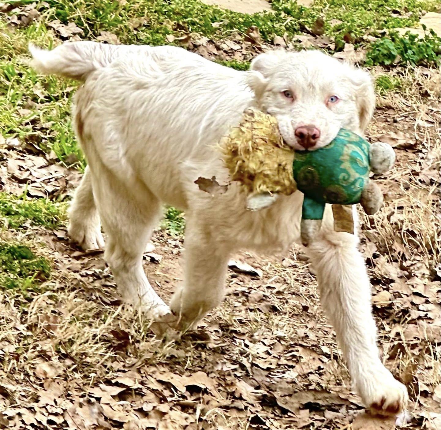 Arph # - Kenny thumbnail 3