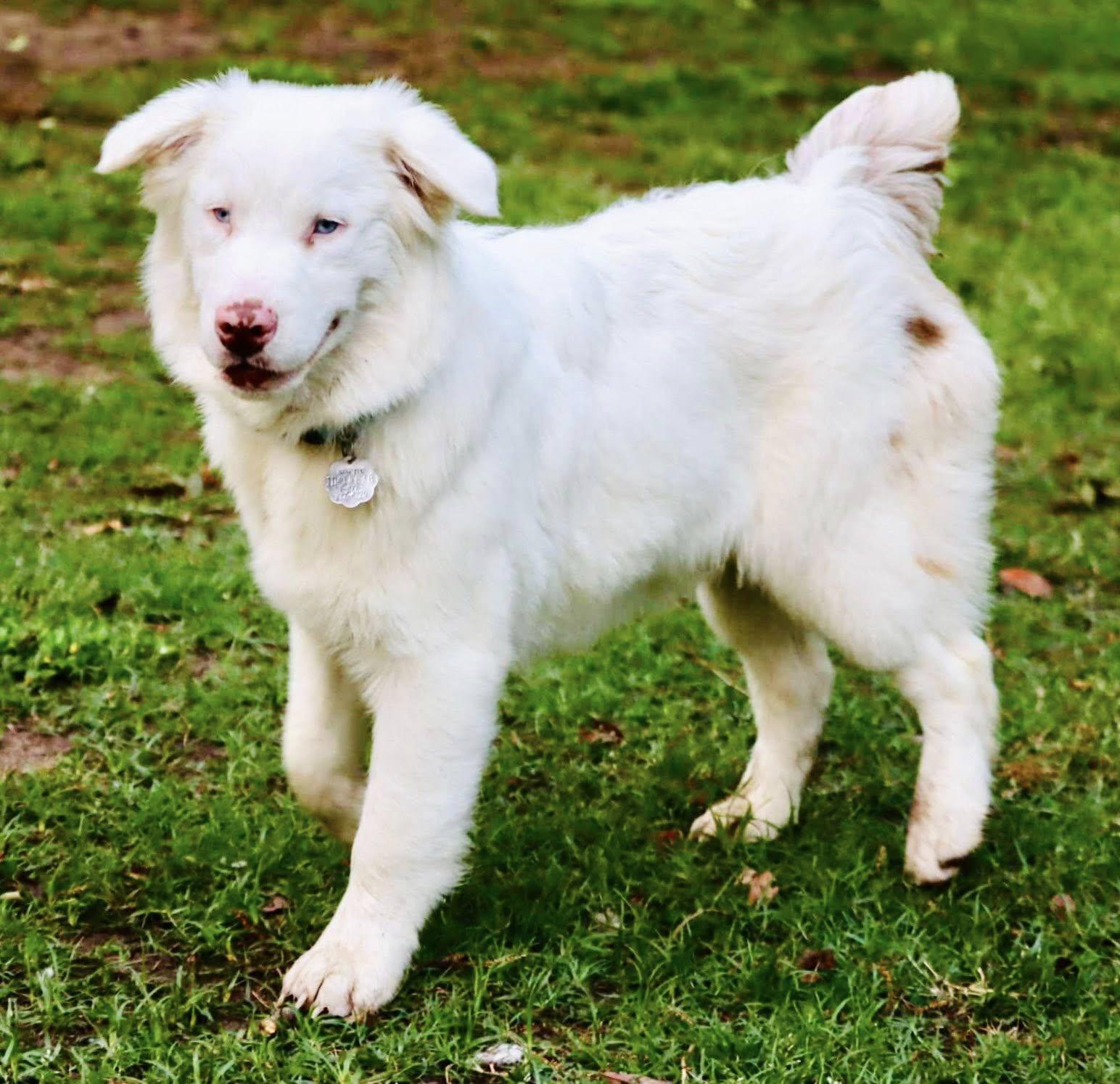 Arph # - Kenny thumbnail 4