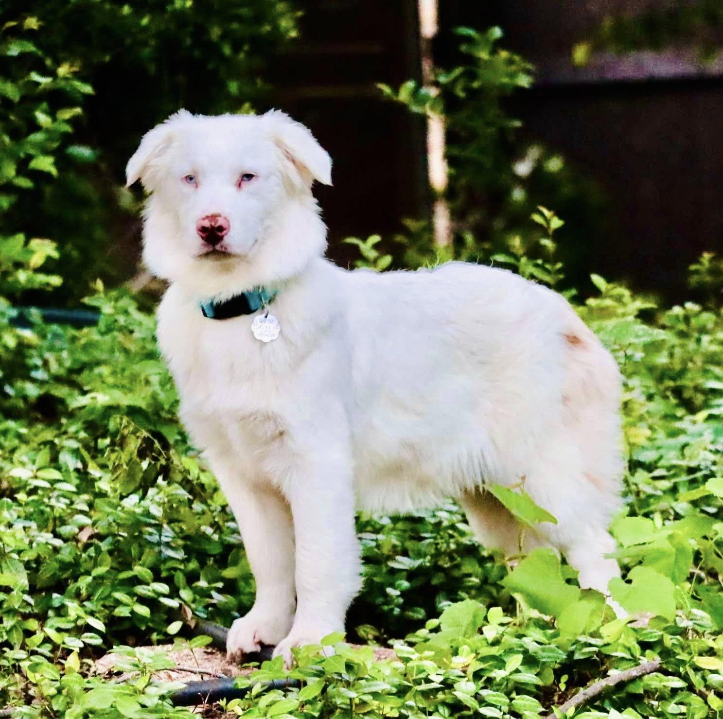 Arph # - Kenny thumbnail 5