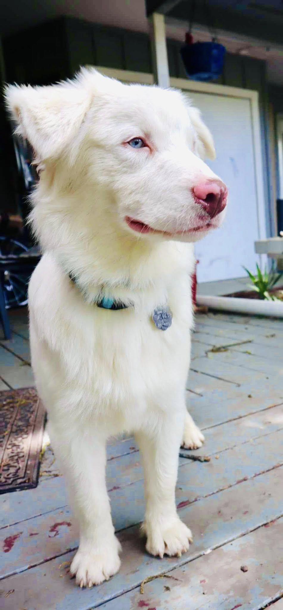 Arph # - Kenny thumbnail 6